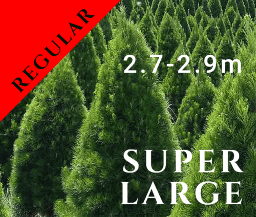 Festivity Christmas Regular Tree Super Large
