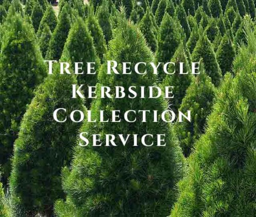 Festivity Christmas Trees kerbside recycle collection