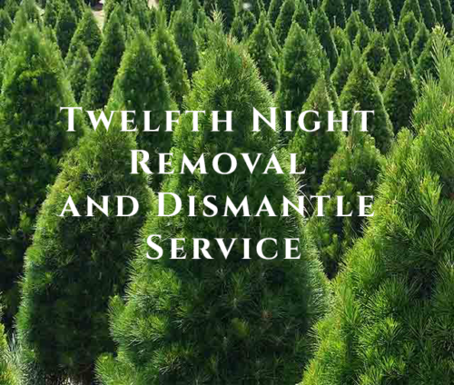 Festivity Christmas Trees Twelfth-Night-Removal-and-Dismantle-Service